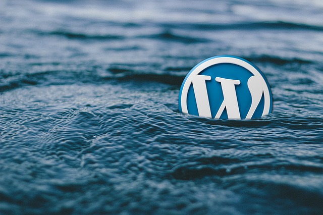 WordPress – najpopularniejszy CMS na świecie